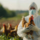 Vogelgrippe: Was Sie wissen müssen – Warnzeichen, Schutz & sinnvolle Produkte - DocMed GmbH