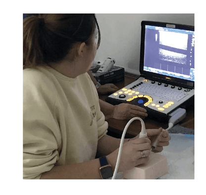 SonoEZ Ultraschalltrainer "verzweigtes Gefäß" - Erler - Zimmer