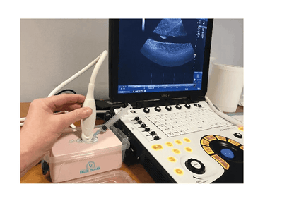 SonoEZ Ultraschalltrainer "Injektion" - Erler - Zimmer