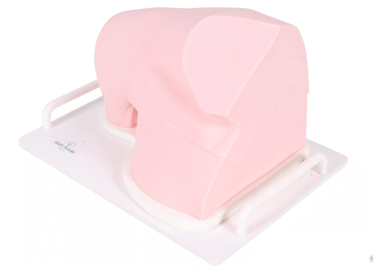 Ultraschall – Übungsmodell Schulter - Erler - Zimmer
