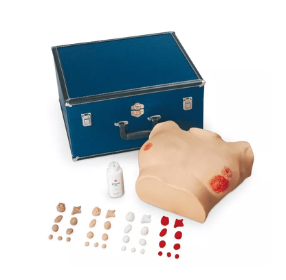 Brustuntersuchungssimulator, erweiterte Version - Erler - Zimmer