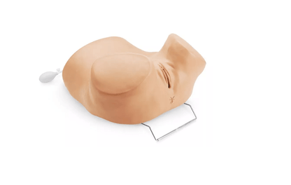 GYN/AID Gynäkologischer Simulator - Erler - Zimmer