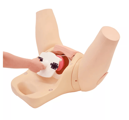 Muttermund - Untersuchungs - Simulator - Erler - Zimmer