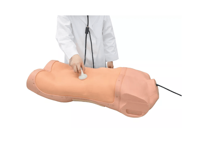 Abdominaler Untersuchungs - Simulator - Erler - Zimmer