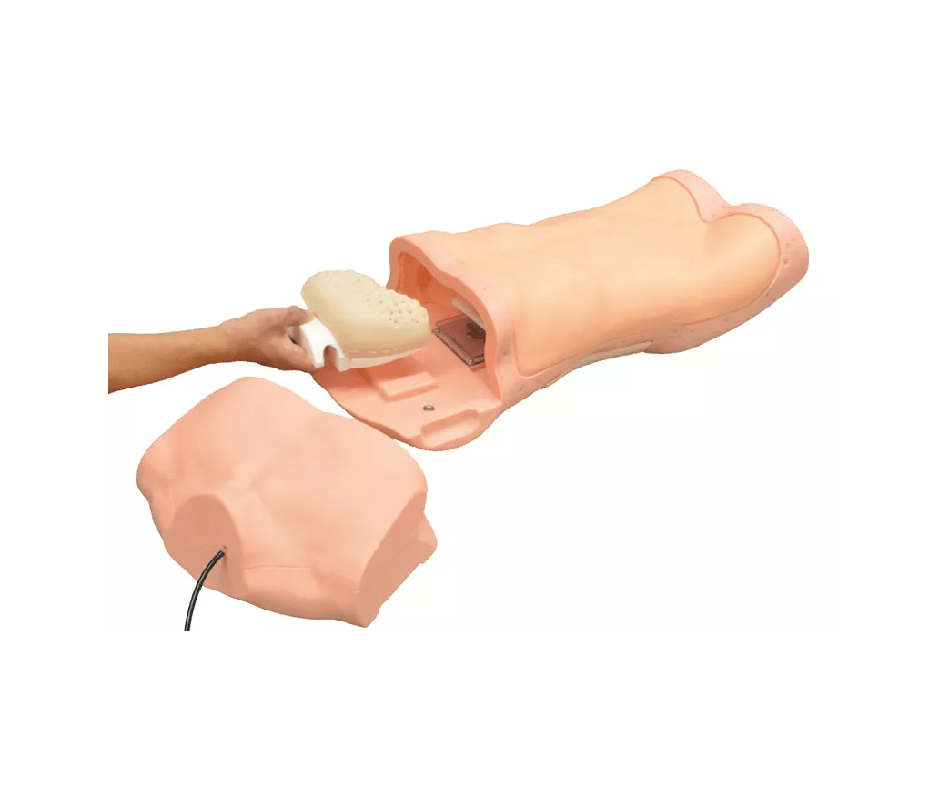 Abdominaler Untersuchungs - Simulator - Erler - Zimmer