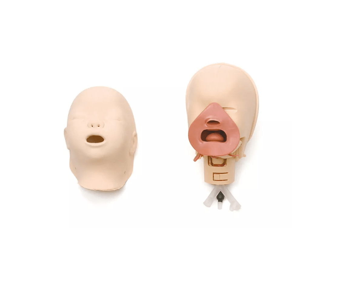 Neugeborenen Intubationstrainer - Erler - Zimmer