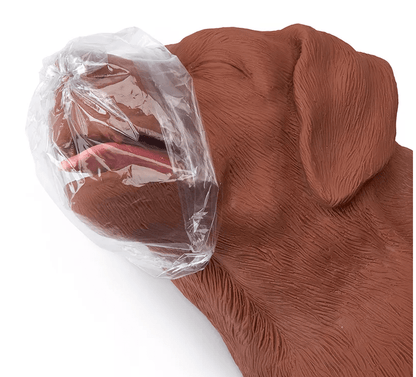 HLW Übungshund CasPeR - Erler - Zimmer
