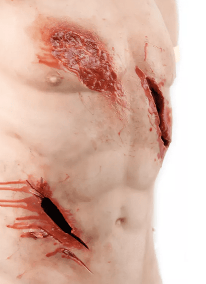 Trauma Training Torso - Erler - Zimmer