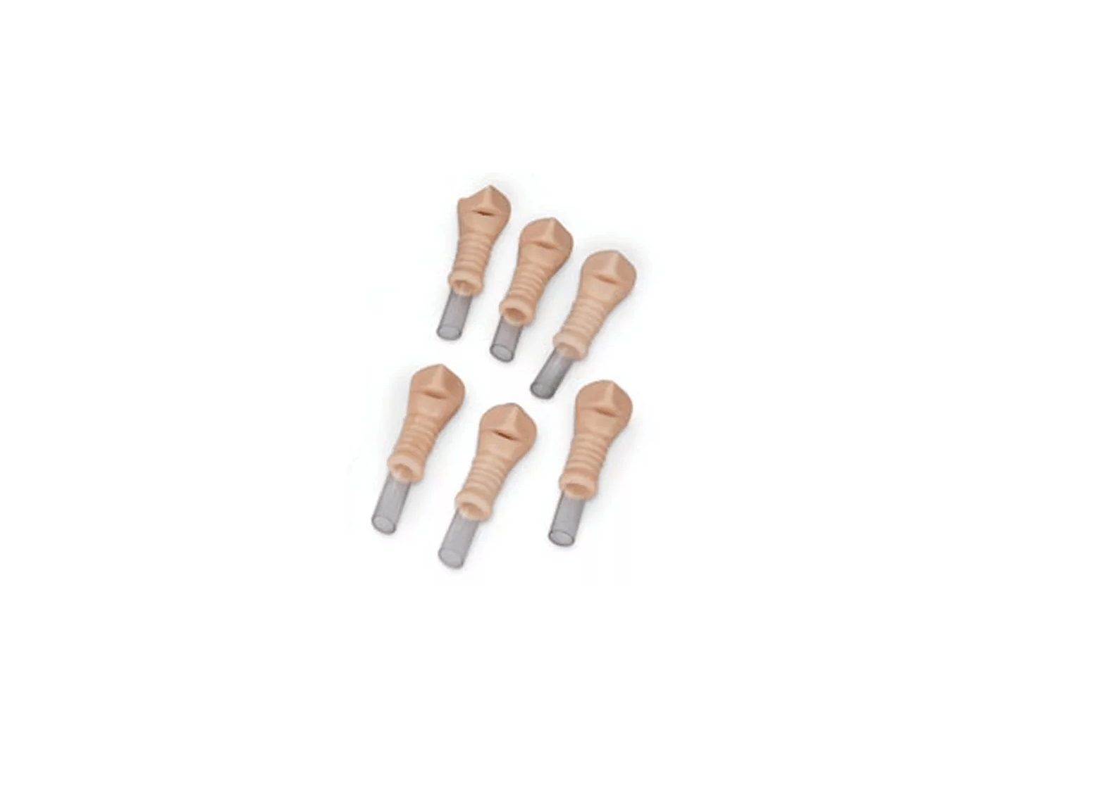 Ersatztrachea, 6er Set - Erler - Zimmer