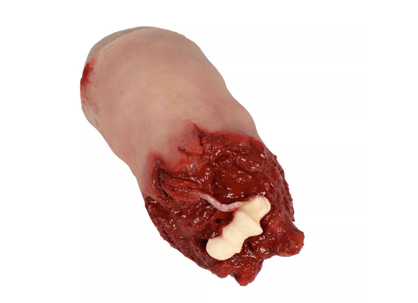 Erler-ZimmerAmputierter Arm Task TrainerDocMed GmbH
