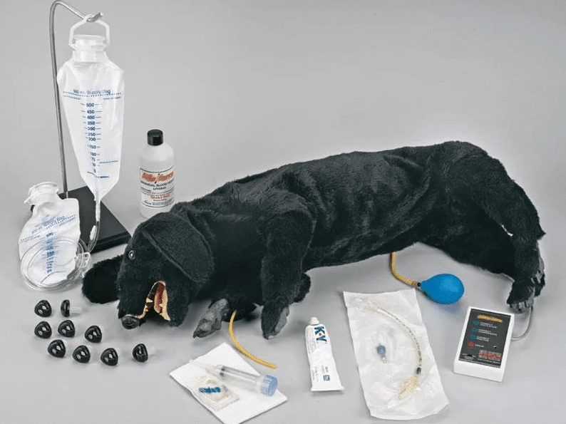 Erler-ZimmerHLW Hund, erweiterte AusführungDocMed GmbH