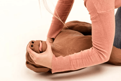 Erler-ZimmerHLW Übungshund CasPeRDocMed GmbH