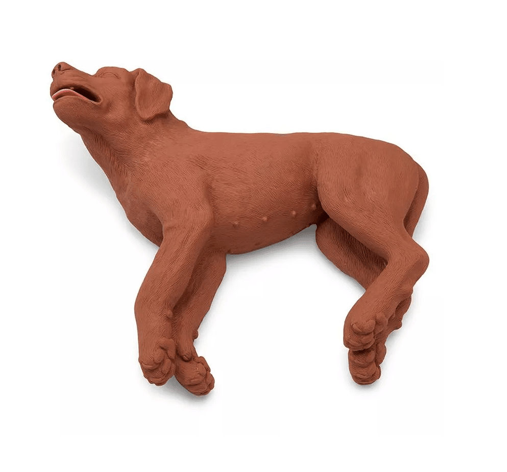 Erler-ZimmerHLW Übungshund CasPeRDocMed GmbH