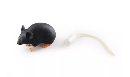 Erler-ZimmerMimicky MouseDocMed GmbH
