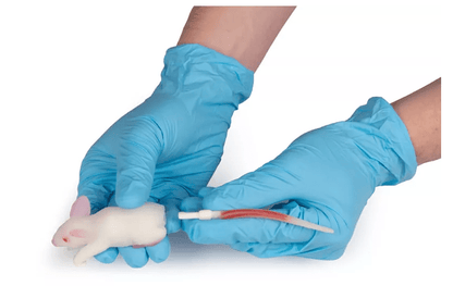 Erler-ZimmerSimulationsmodell MausDocMed GmbH