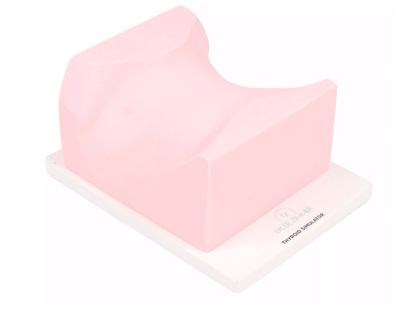 Erler-ZimmerSonoEZ Ultraschalltrainer „Schilddrüse“DocMed GmbH